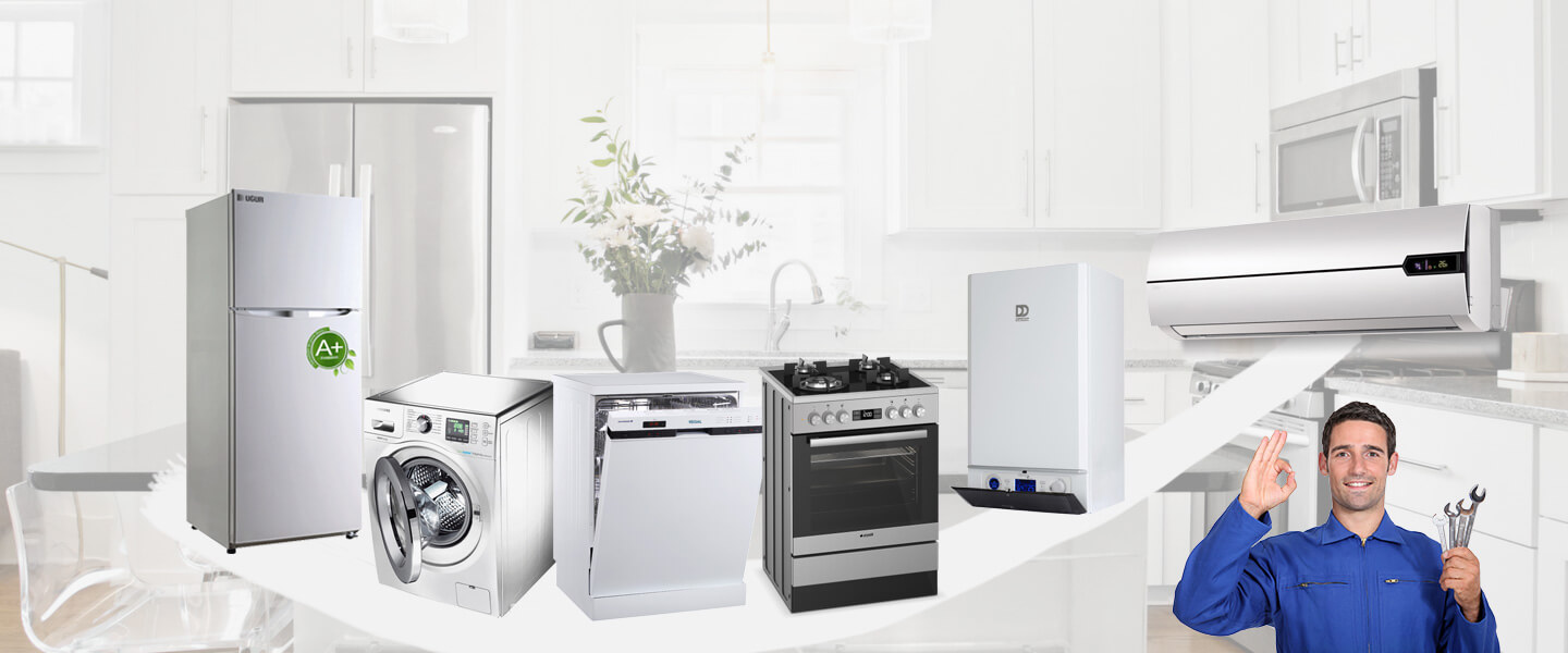 Çağlayancerit Electrolux Servisi